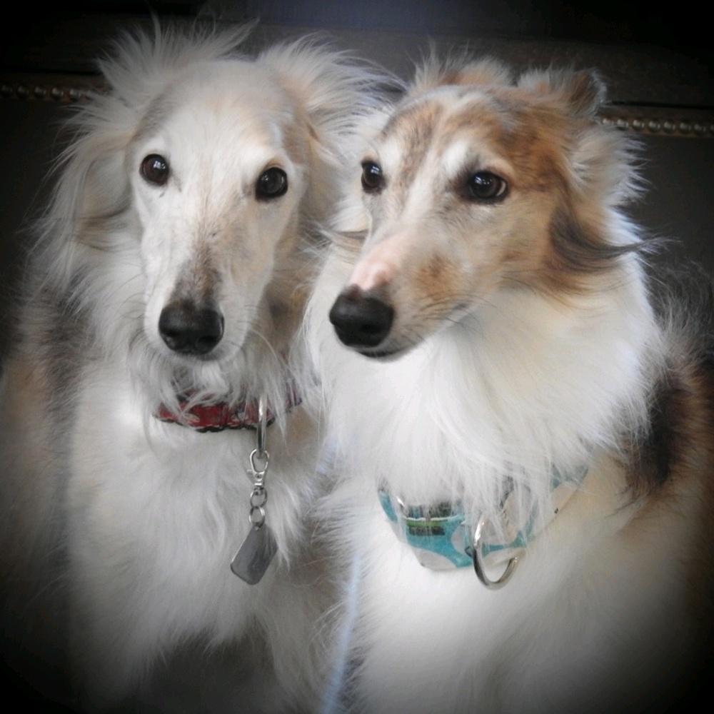 Meet your Posher, Beth